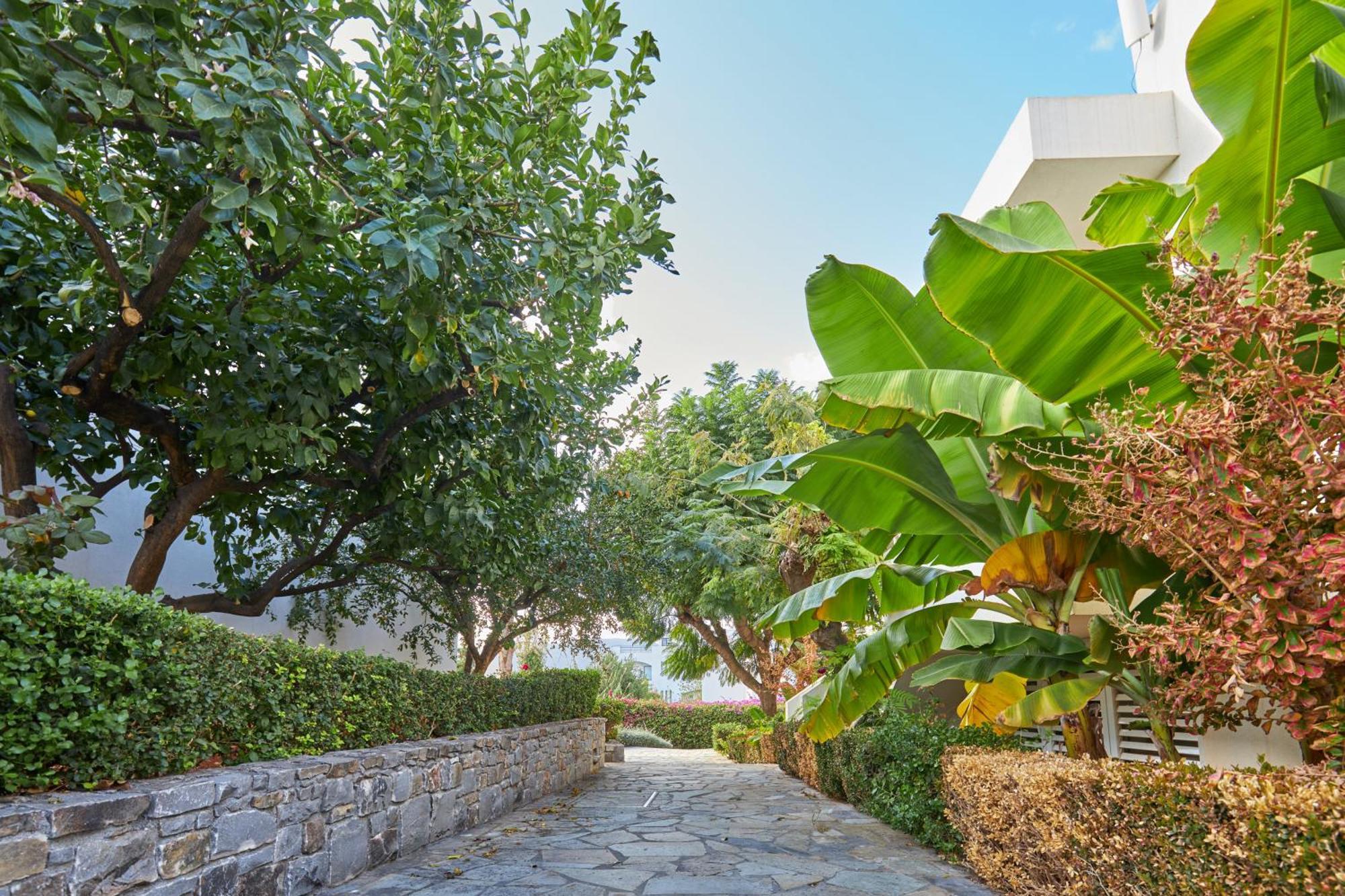 Kyknos Beach Hotel & Bungalows Malia  Exterior photo